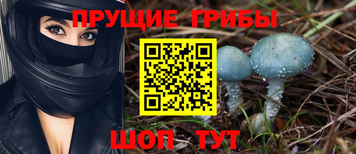 Галлюциногенные грибы Cubensis Дзержинский
