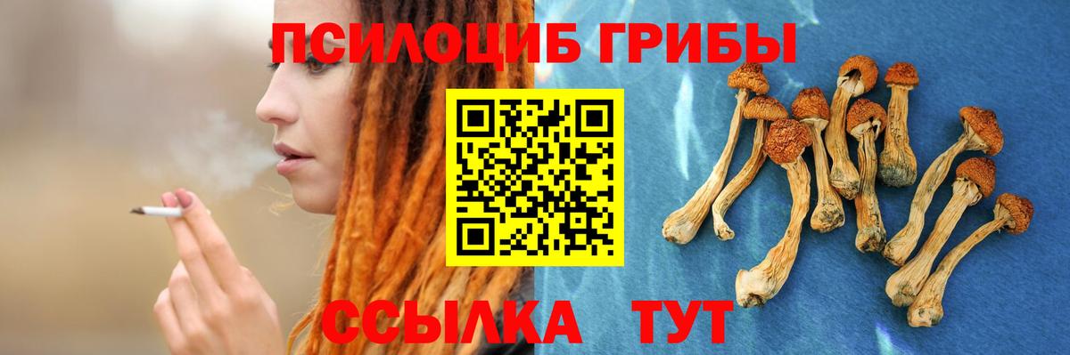 Псилоцибиновые грибы Cubensis  Псилоцибиновые грибы Psilocybe  Дзержинский  Вход с VPN 